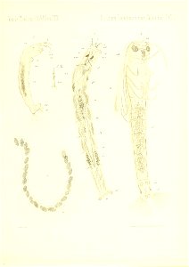 n762_w1150