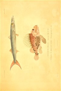 n68_w1150