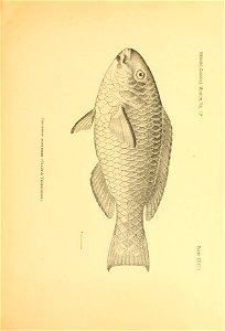 n76_w1150