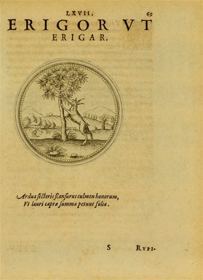 n358_w1150