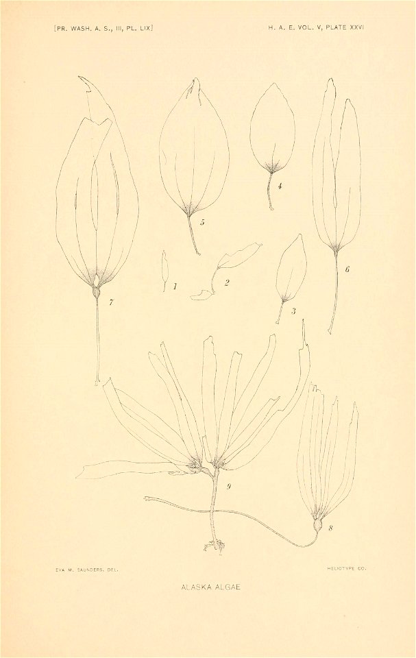 n308_w1150