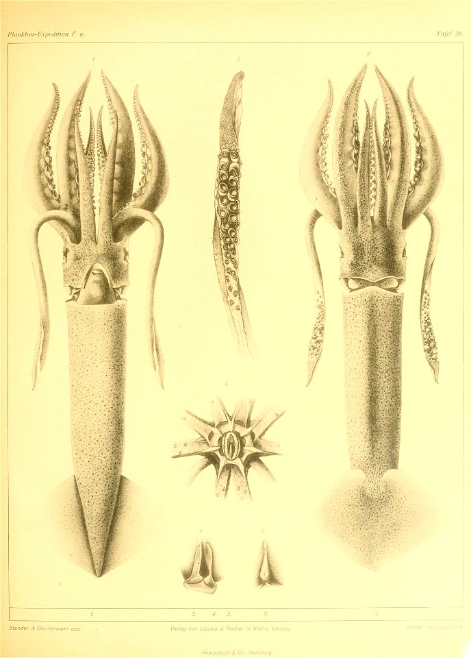 n118_w1150