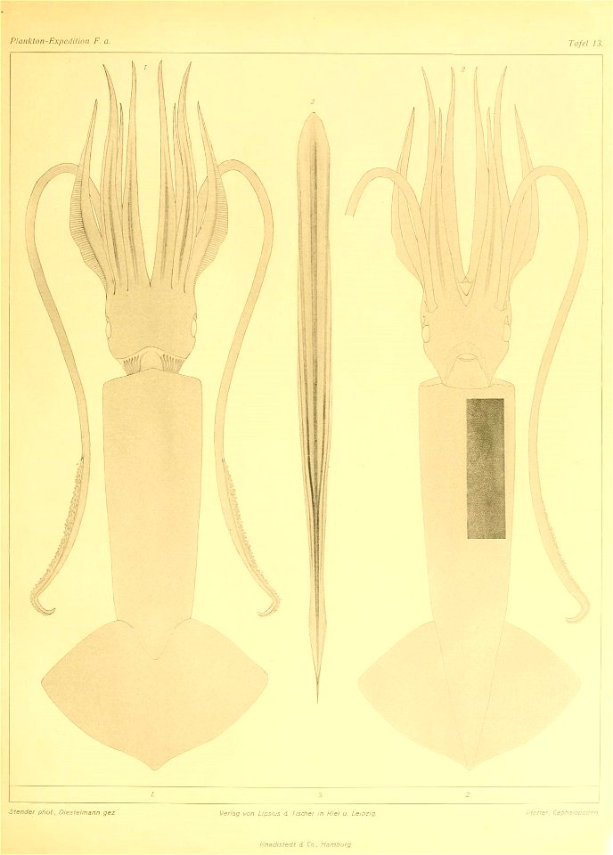 n58_w1150
