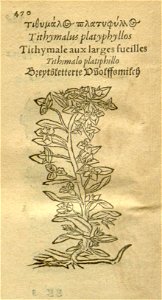 n492_w1150