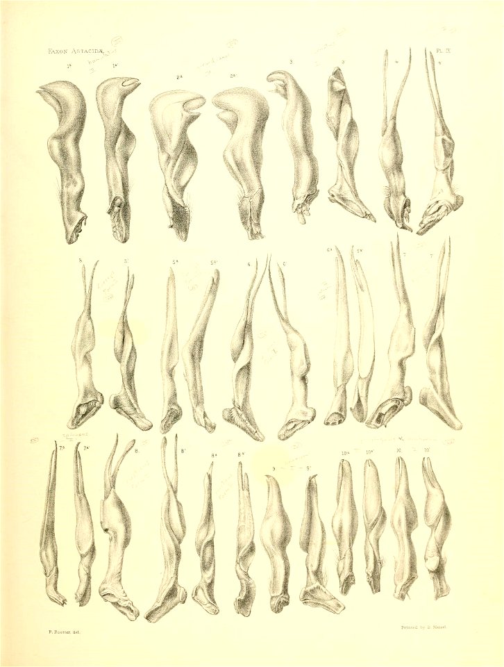 n218_w1150