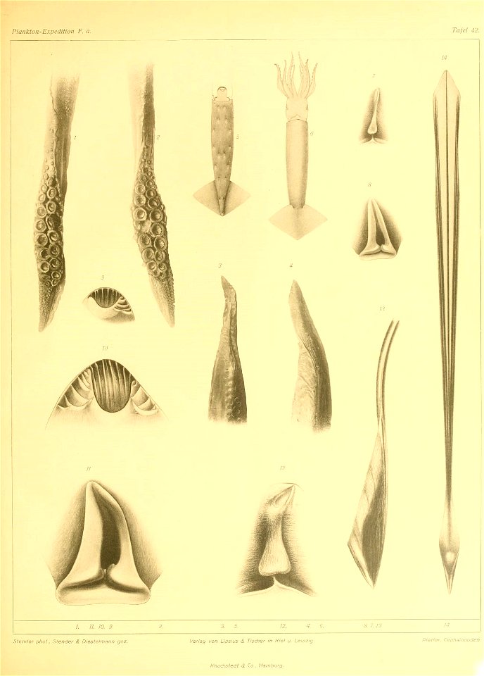 n174_w1150