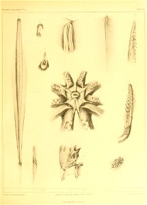 n54_w1150