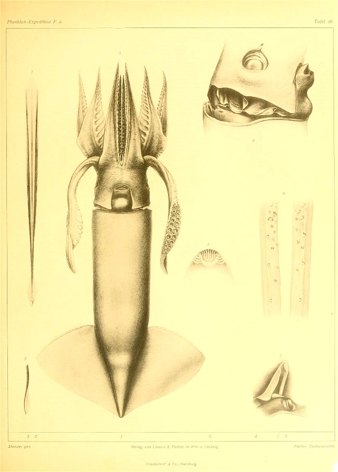 n166_w1150