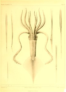 n46_w1150