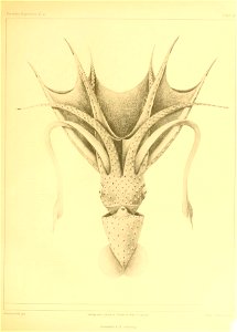 n102_w1150