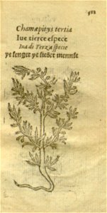 n533_w1150