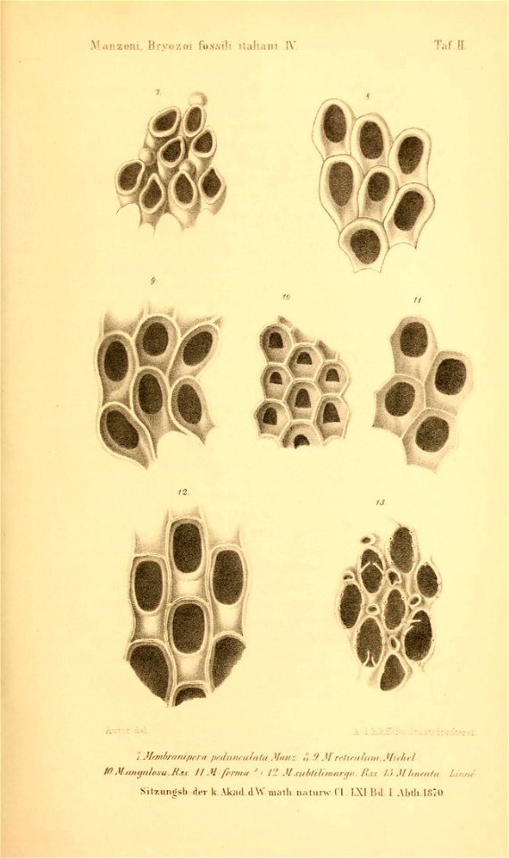 n402_w1150