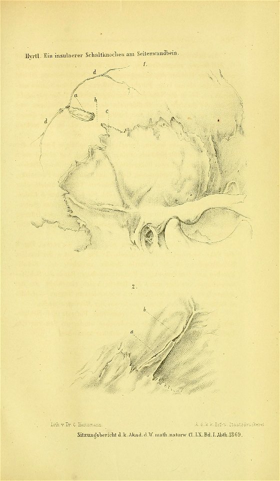 n920_w1150