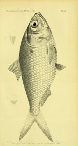 n400_w1150