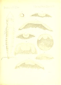 n768_w1150