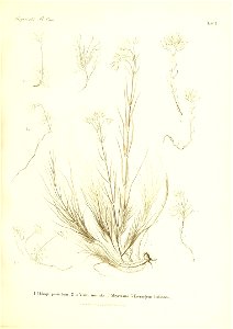n582_w1150