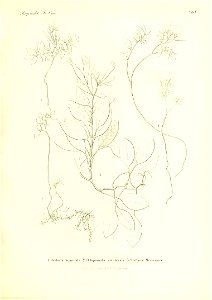 n580_w1150