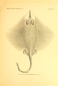 n58_w1150