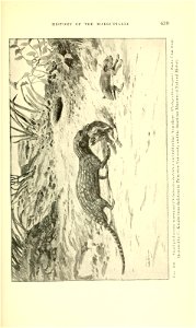 n662_w1150