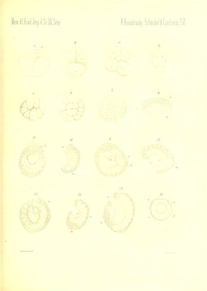 n762_w1150