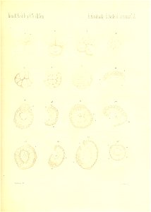 n762_w1150