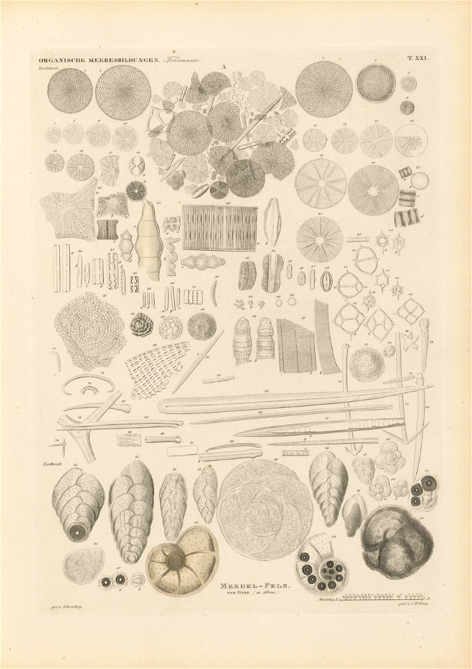 n176_w1150