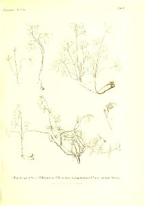 n578_w1150