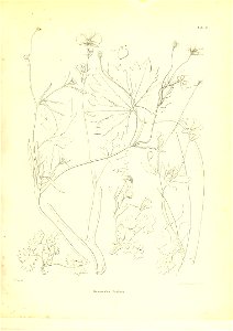 n574_w1150