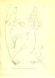 n572_w1150