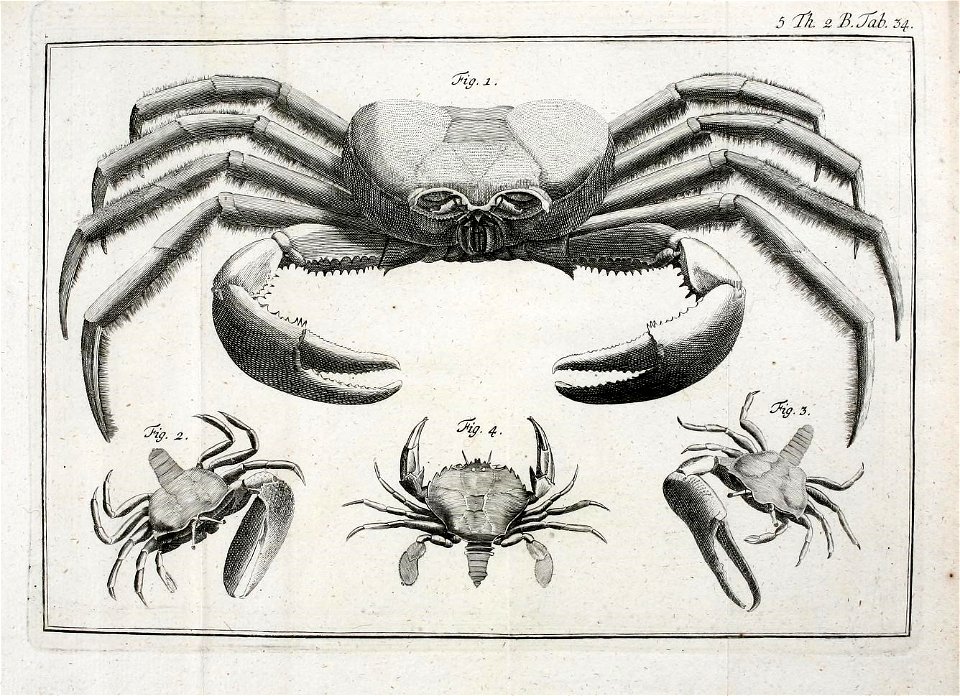 n576_w1150