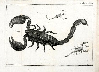 n572_w1150