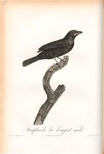 n119_w1150