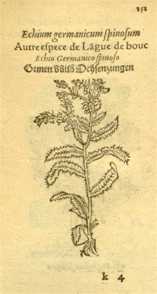 n173_w1150