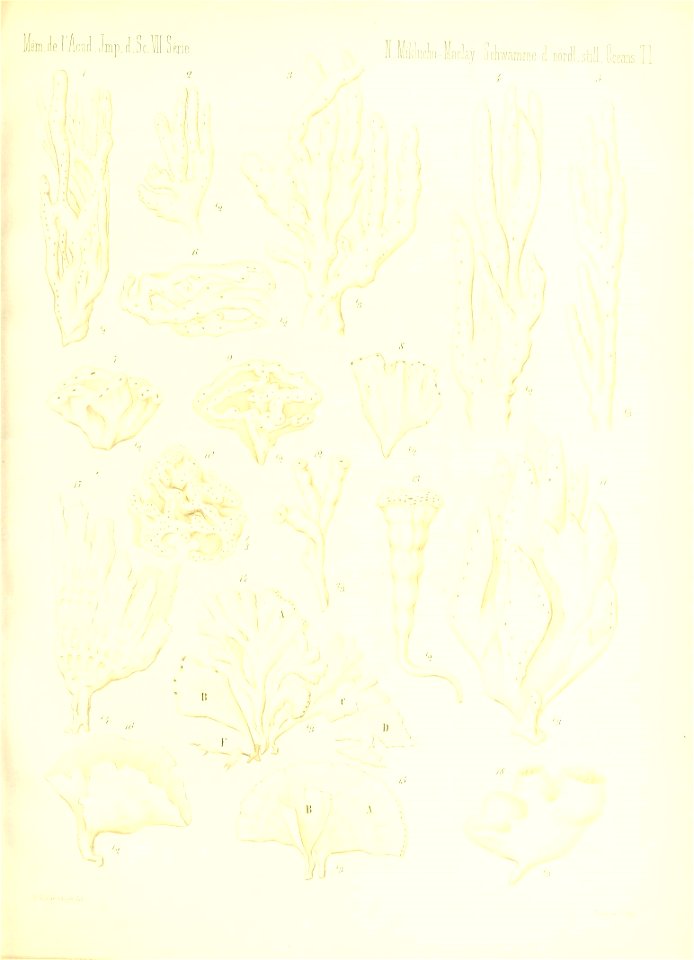 n610_w1150