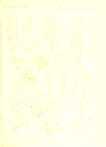 n610_w1150