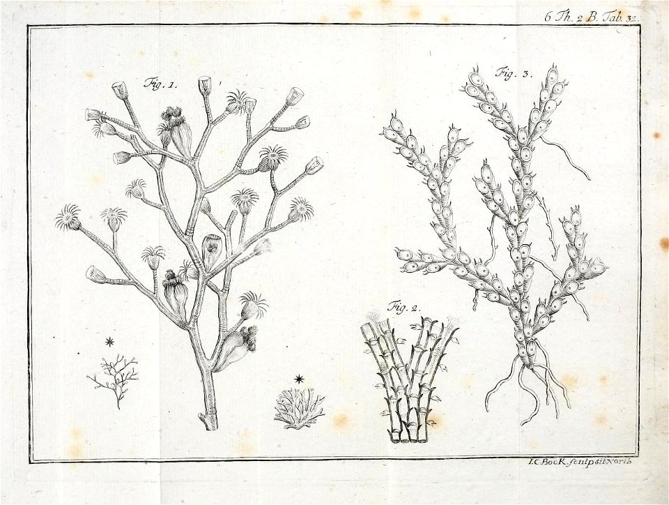 n502_w1150