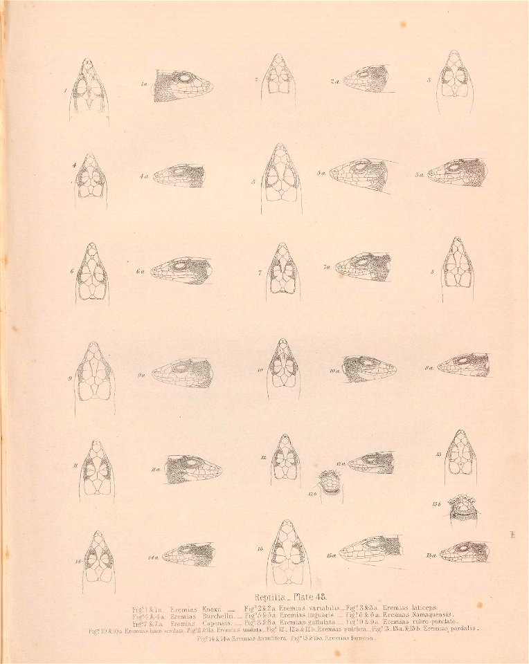 n216_w1150