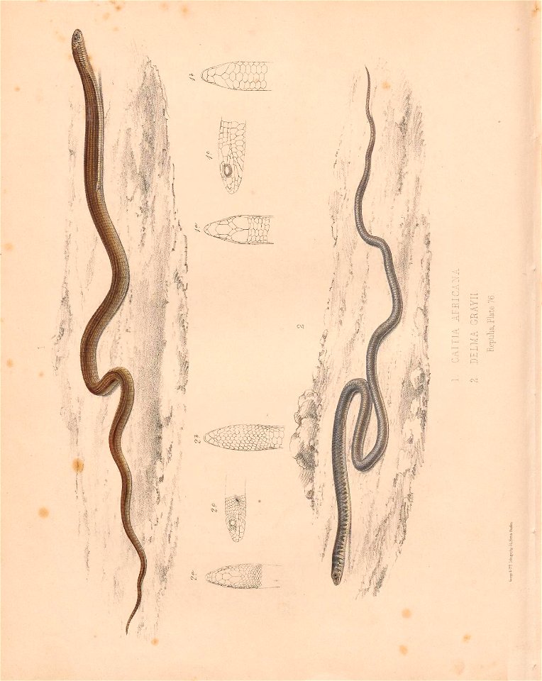 n343_w1150