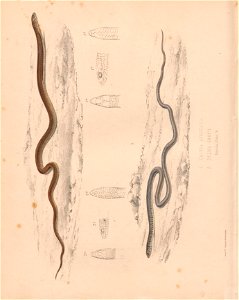 n343_w1150