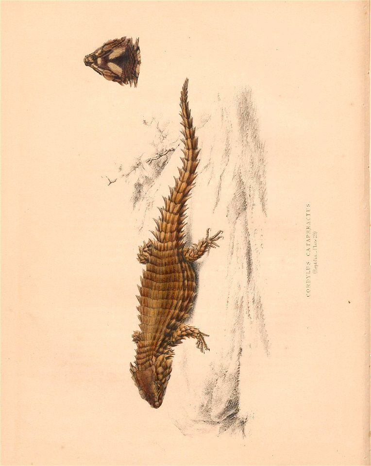 n121_w1150