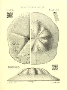 n94_w1150