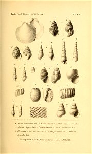 n208_w1150