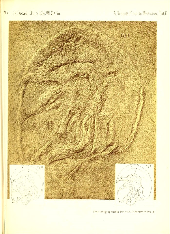 n674_w1150