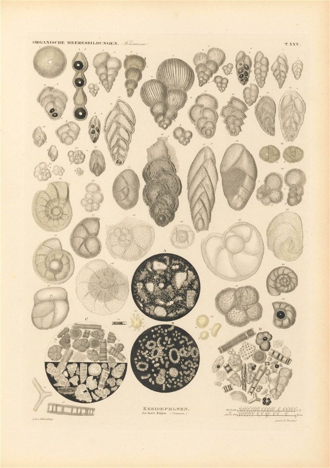 n194_w1150