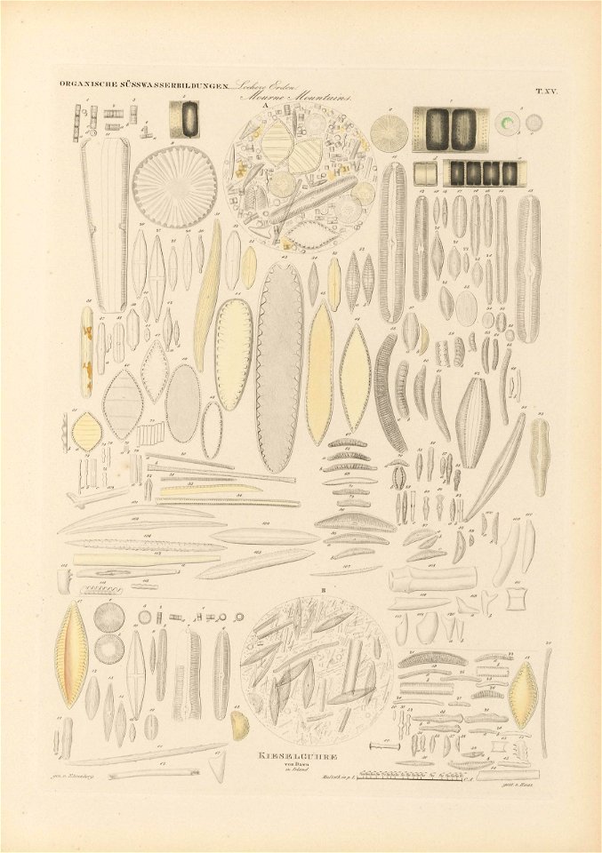 n164_w1150