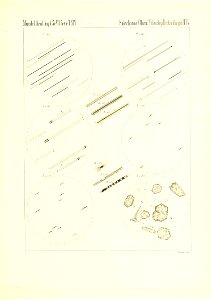 n716_w1150