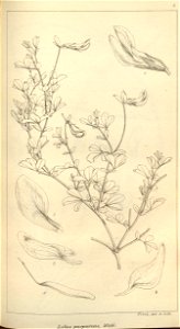 n603_w1150