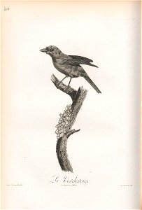 n167_w1150