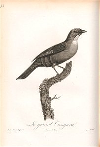 n163_w1150