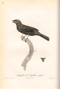 n113_w1150
